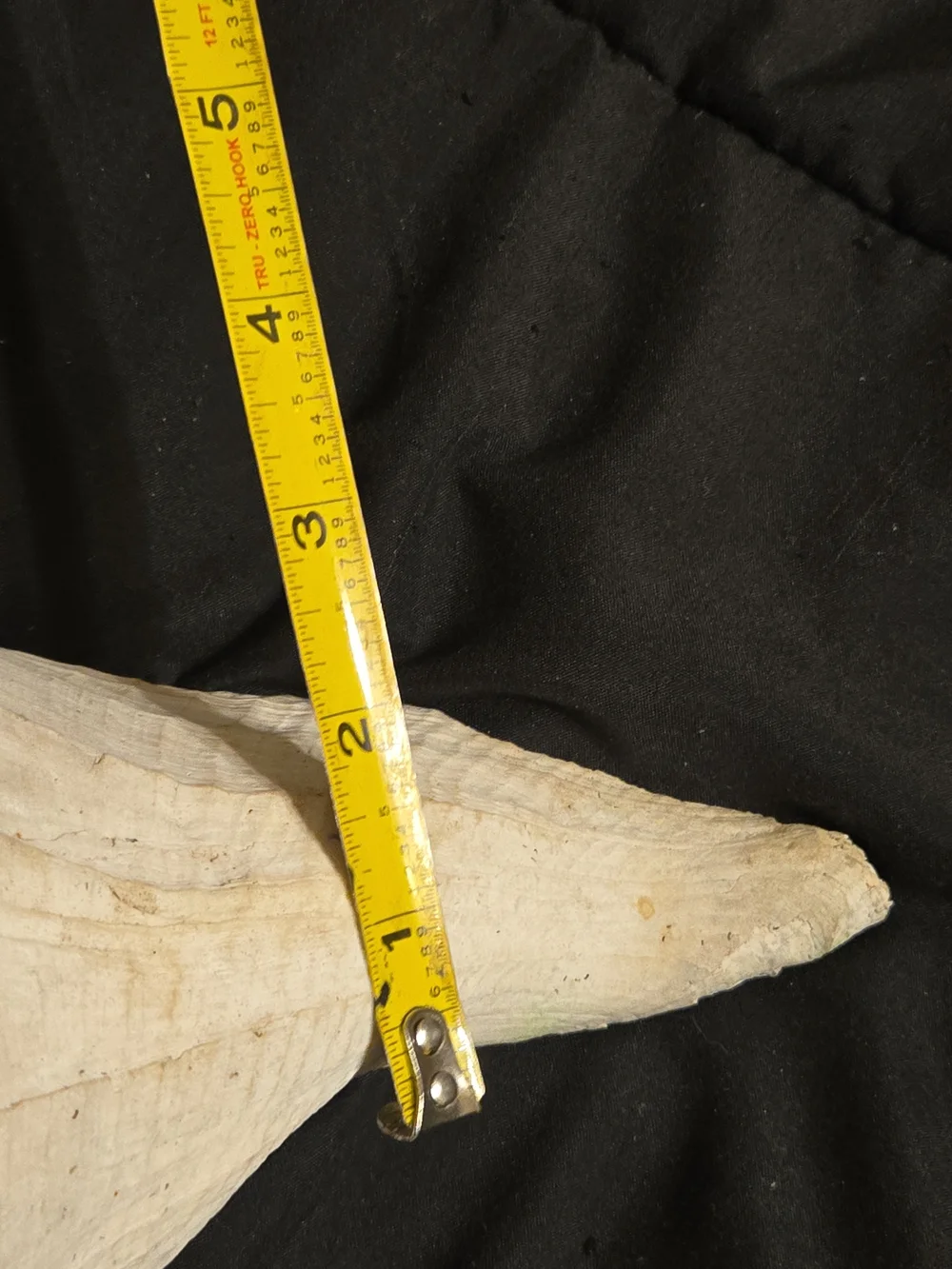 Natural Cream Shell Hide for Reptile Habitats - Decorative Terrarium Shelter